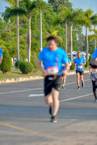 BIB: 
                            <button type="button" onclick="openModal(3424236)" class="btn btn-primary btn-sm float-right btn-popup" data-toggle="modal" data-target=".modal-high-quality">
                        <i class="fas fa-shopping-cart"></i> Add to Cart
                    </button>
                                            <button type="button" onclick="isThisMe(3424236, true)" class="btn btn-success btn-sm float-right btn-popup btn-isme hidden" data-toggle="tooltip" data-placement="bottom" title="นี่คือรูปของคุณใช่ไหม คลิกที่นี่เพื่อเอาเข้าอัลบั้ม">
                        <i class="fas fa-plus"></i> Add to album
                    </button>
                    <button type="button" onclick="isThisMe(3424236, false)" class="btn btn-warning btn-sm float-right btn-popup btn-isnotme hidden">
                        <i class="fas fa-ban"></i> Remove from album
                    </button>